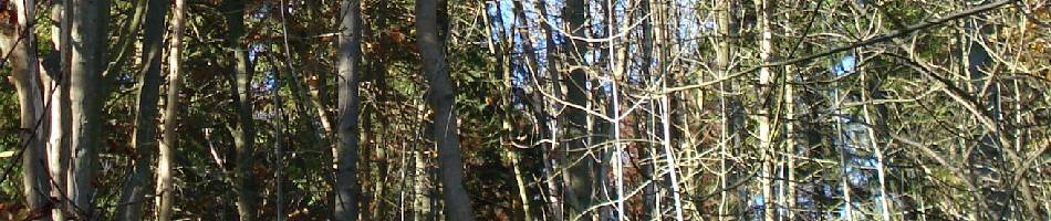 ASCII Archives - bardecode.com