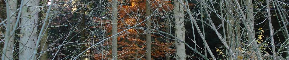 Handling Unicode Encoded Barcodes in Java