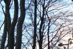 A test script for Linux